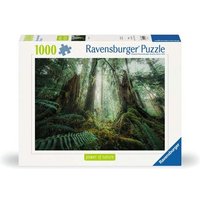 RAVENSBURGER 12000292 Puzzle 1000 Teile Faszinierender Wald von Ravensburger
