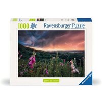 RAVENSBURGER 12000793 Puzzle 1000 Teile Ein Sturm zieht auf RAVENSBURGER 12000793 Puzzle 1000 Teile Ein Sturm zieht auf von Ravensburger