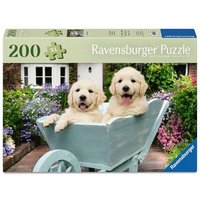 RAVENSBURGER 12001368 Puzzle für Senioren 200 Teile Golden Retriever von Ravensburger