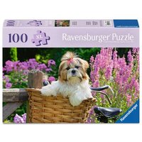 RAVENSBURGER 12001731 Erwachsenenpuzzle 100 XL-Teile - Süßer kleiner Hund von Ravensburger