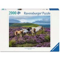 RAVENSBURGER 12001751 Erwachsenenpuzzle 2000 Teile - Wildpferde in der Heide von Ravensburger