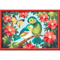 RAVENSBURGER 12023134 CreArt Malen nach Zahlen - Bunte Vögel von Ravensburger