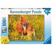 RAVENSBURGER 13283 Kinderpuzzle Shetlandponys 100 Teile von Ravensburger