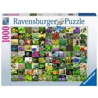 RAVENSBURGER 15991 Erwachsenenpuzzle - 99 Kräuter und Gewürze - 1000 Teile RAVENSBURGER 15991 Erwachsenenpuzzle - 99 Kräuter und Gewürze - 1000 Teile von Ravensburger