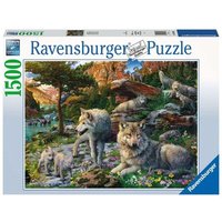 RAVENSBURGER 16598 Erwachsenenpuzzle Wolfsrudel im Frühlingserwachen 1500 Teile von Ravensburger