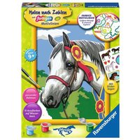 RAVENSBURGER 20063 Malen nach Zahlen Stolzes Turnierpferd RAVENSBURGER 20063 Malen nach Zahlen Stolzes Turnierpferd von Ravensburger