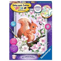 RAVENSBURGER 20064 Malen nach Zahlen Neugieriges Eichhörnchen von Ravensburger