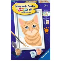 RAVENSBURGER 23756 Malen nach Zahlen - Niedliche Katze RAVENSBURGER 23756 Malen nach Zahlen - Niedliche Katze von Ravensburger