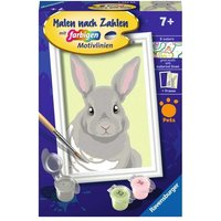 RAVENSBURGER 23757 Malen nach Zahlen - Niedliches Kaninchen RAVENSBURGER 23757 Malen nach Zahlen - Niedliches Kaninchen von Ravensburger