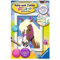 RAVENSBURGER 27693 Malen nach Zahlen Liebes Pferd RAVENSBURGER 27693 Malen nach Zahlen Liebes Pferd von Ravensburger