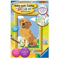 RAVENSBURGER 28511 Malen nach Zahlen - Kleiner Golden Retriever RAVENSBURGER 28511 Malen nach Zahlen - Kleiner Golden Retriever von Ravensburger