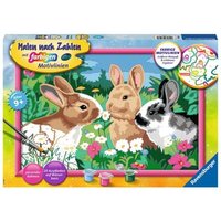 RAVENSBURGER 28517 Malen nach Zahlen - Putzige Häschen von Ravensburger