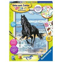 RAVENSBURGER 28565 Malen nach Zahlen Pferd am Strand RAVENSBURGER 28565 Malen nach Zahlen Pferd am Strand von Ravensburger