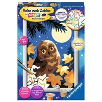 RAVENSBURGER 28697 Malen nach Zahlen - Eule im Mondschein von Ravensburger