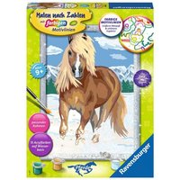 RAVENSBURGER 28780 Malen nach Zahlen - Haflinger im Schnee RAVENSBURGER 28780 Malen nach Zahlen - Haflinger im Schnee von Ravensburger