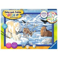 RAVENSBURGER 28909 Malen nach Zahlen Tiere der Arktis von Ravensburger