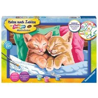 RAVENSBURGER 28986 Malen nach Zahlen Verschmuste Kätzchen von Ravensburger