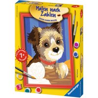 RAVENSBURGER 29214 Malen nach Zahlen Putziger Racker von Ravensburger