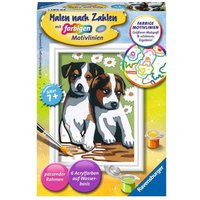 RAVENSBURGER 29681 Malen nach Zahlen Süße Welpen RAVENSBURGER 29681 Malen nach Zahlen Süße Welpen von Ravensburger
