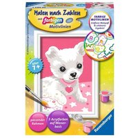 RAVENSBURGER 29684 Malen nach Zahlen Chihuahua von Ravensburger