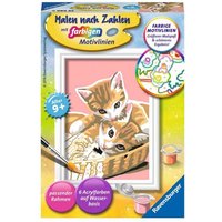 RAVENSBURGER 29686 Katzenbabys von Ravensburger