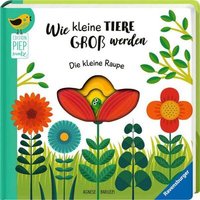 RAVENSBURGER 43827 Edition Piepmatz: Wie kleine Tiere groß werden: Die kleine Raupe von Ravensburger
