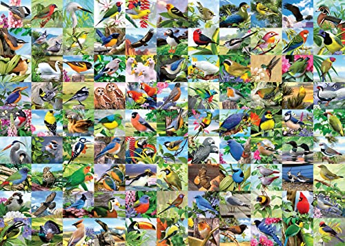 RAVENSBURGER Puzzle aus 99 atemberaubenden EXTRA-Vögeln 300 Teile von Ravensburger