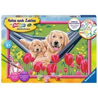 RAVENSBURGER20164 Malen nach Zahlen Kuschelpause von Ravensburger