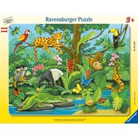 Rahmenpuzzle Ravensburger Tiere im Regenwald 11 Teile Rahmenpuzzle Ravensburger Tiere im Regenwald 11 Teile von Ravensburger