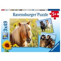 Puzzle Ravensburger Liebe Pferde 3 X 49 Teile von Ravensburger Verlag GmbH