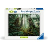 Erwachsenenpuzzle 1000 Teile - Faszinierender Wald von Ravensburger Verlag GmbH
