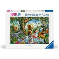 Ravensburger 12000682 - Abenteuer im Dschungel von Ravensburger Verlag