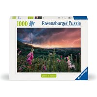 Ravensburger 12000793 - Ein Sturm zieht auf von Ravensburger Verlag