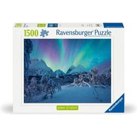 Ravensburger 12000802 - Wenn die Nordlichter tanzen von Ravensburger Verlag