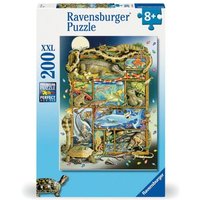 Ravensburger 12000866 - Reptilien im Regal von Ravensburger Verlag