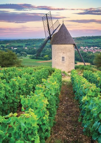 Nathan - Puzzle 1000 Teile - Mühle Sorine aus dem Weinberg Santenay, Burgund - Erwachsene und Kinder ab 14 Jahren - Hochwertiges Puzzle - Evasion Collection - 12000898 Nathan - Puzzle 1000 Teile - Mühle Sorine aus dem Weinberg Santenay, Burgund - Erwachsene und Kinder ab 14 Jahren - Hochwertiges Puzzle - Evasion Collection - 12000898 von NATHAN