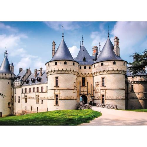 Nathan - Puzzle 1000 Teile – Schloss von Chaumont – Erwachsene und Kinder ab 12 Jahren – Hochwertiges Puzzle – perfekte Integration – Sammlung der Wurzeln und Flügel – 12000900 von NATHAN