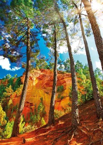Ravensburger 12000922 Nathan Puzzle für Erwachsene von Ravensburger
