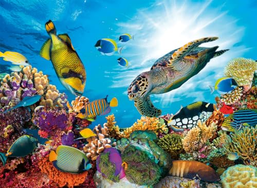 Nathan Puzzle 500 Teile Das Korallenriff, Erwachsene und Kinder ab 12 Jahren, Premium-Puzzle, perfekte Integration, Wildlife Kollektion, 12000954 von Ravensburger