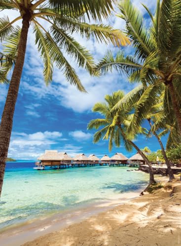 Nathan Puzzle 500 Teile Bora-Bora Beach, Französisch Polynesien, Erwachsene und Kinder ab 12 Jahren, Premium Puzzle, Kollektion Evasion, 12000972 Nathan Puzzle 500 Teile Bora-Bora Beach, Französisch Polynesien, Erwachsene und Kinder ab 12 Jahren, Premium Puzzle, Kollektion Evasion, 12000972 von Ravensburger