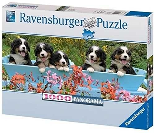 Ravensburger 15116 - Berner Sennenhunde - 1000 Teile Panorama Puzzle Ravensburger 15116 - Berner Sennenhunde - 1000 Teile Panorama Puzzle von Ravensburger