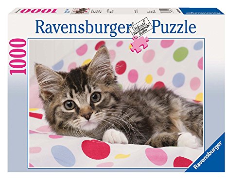 Ravensburger 15757 - Aufgewecktes Kätzchen, 1000 Teile Puzzle Ravensburger 15757 - Aufgewecktes Kätzchen, 1000 Teile Puzzle von Ravensburger