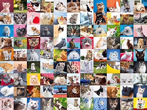 Ravensburger 16235 99 Katzen Puzzle, Mehrfarbig von Ravensburger