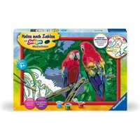 Ravensburger 23770 - Bunte Papageien von Ravensburger Verlag