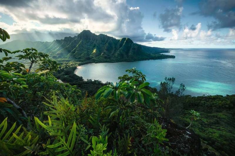 Ravensburger Blick auf Hawaii 5000 Teile Puzzle Ravensburger-16106 von Ravensburger