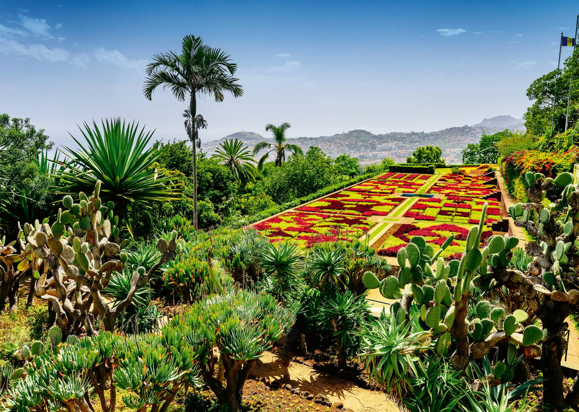 Ravensburger Botanischer Garten, Madeira 1000 Teile Puzzle Ravensburger-00853 Ravensburger Botanischer Garten, Madeira 1000 Teile Puzzle Ravensburger-00853 von Ravensburger