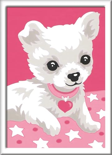 Ravensburger CreArt 29684 - Chihuaha - Malen nach Zahlen Hund für Kinder ab 7 Jahre, Malset mit Rahmen, Pinsel und Acrylfarben, Geschenk für Mädchen und Jungen Ravensburger CreArt 29684 - Chihuaha - Malen nach Zahlen Hund für Kinder ab 7 Jahre, Malset mit Rahmen, Pinsel und Acrylfarben, Geschenk für Mädchen und Jungen von Ravensburger