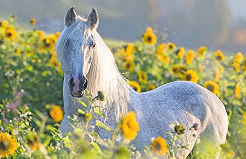 Ravensburger Puzzle 13316 - Sunflower Horse - 200 Teile Puzzle für Erwachsene und Kinder ab 14 Jahren von Ravensburger