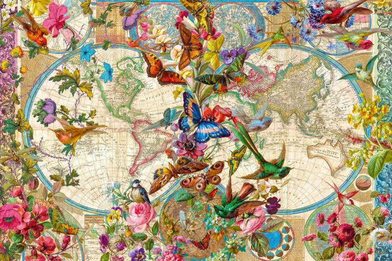 Ravensburger Fauna and Flora Map 3000 Teile Puzzle Ravensburger-17117 von Ravensburger