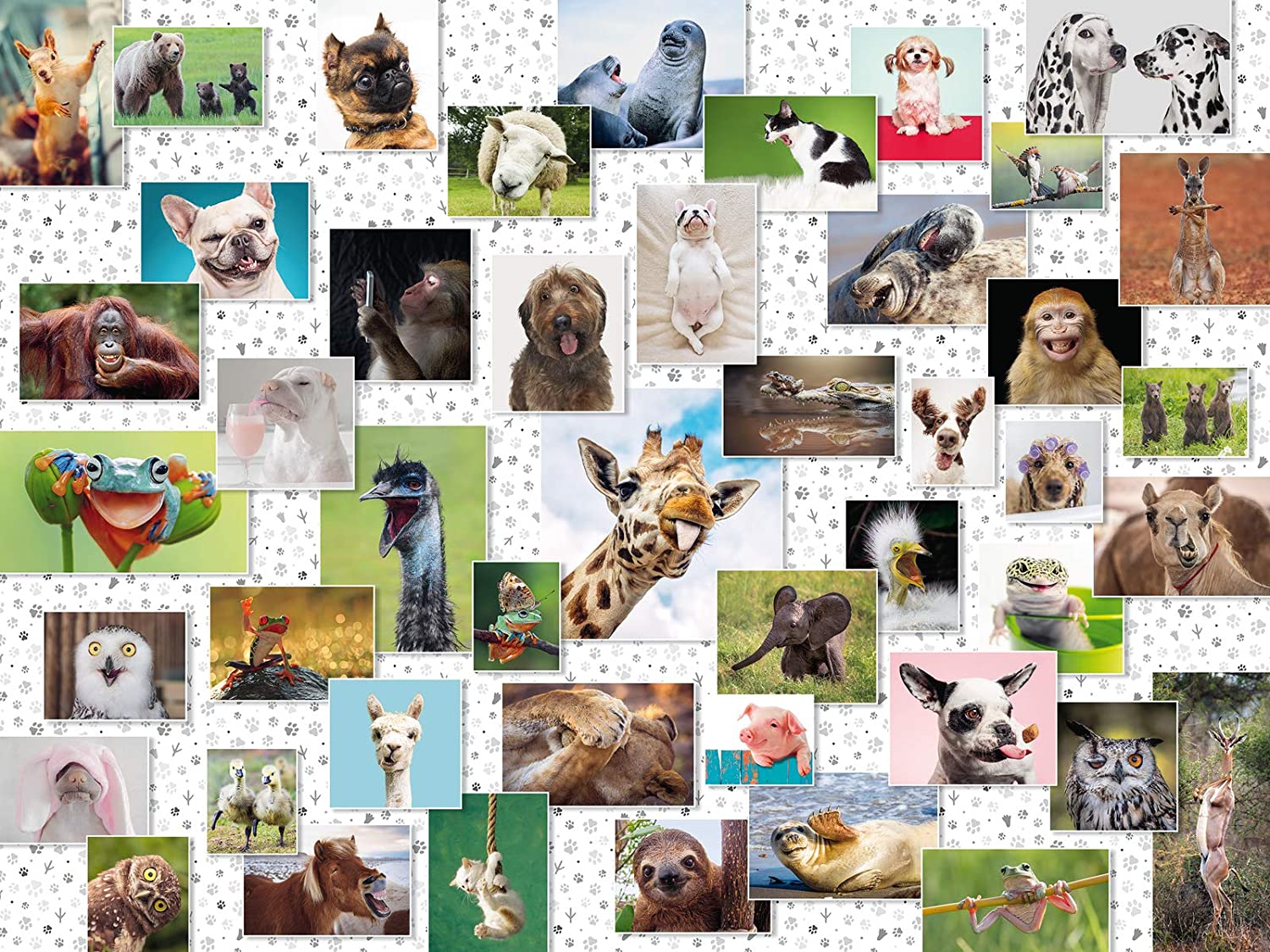Ravensburger Funny Animals Collage 1500 Teile Puzzle Ravensburger-16711 Ravensburger Funny Animals Collage 1500 Teile Puzzle Ravensburger-16711 von Ravensburger